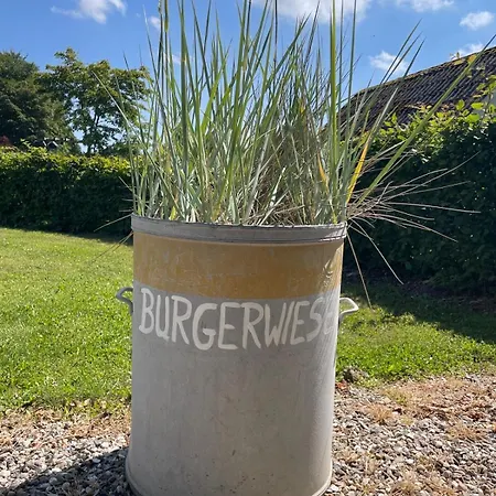 Burgerwiese Brodersby-Goltoft